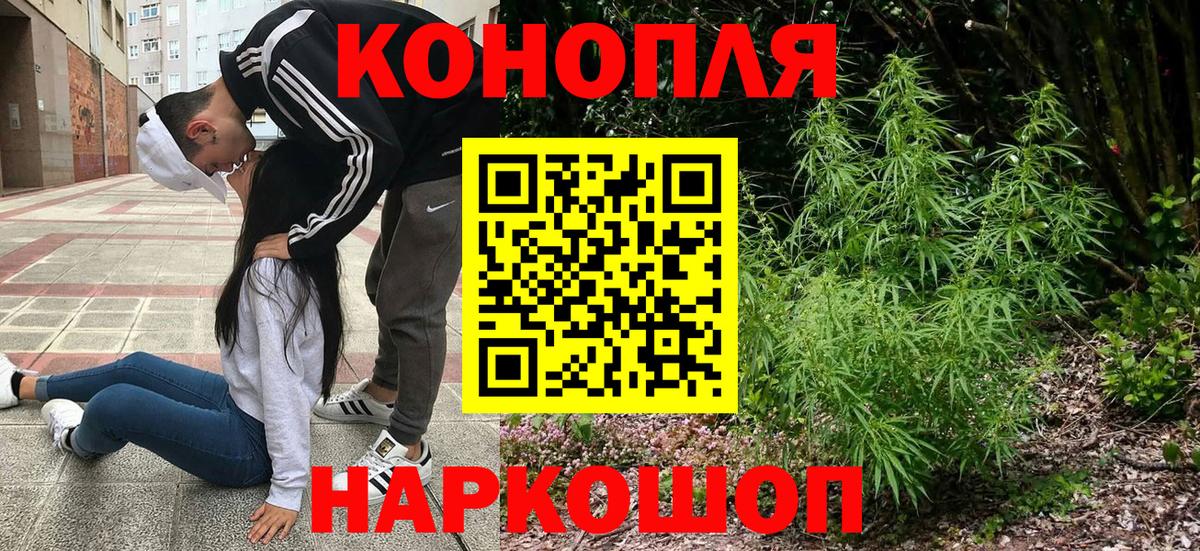 Бошки Шишки конопля Славянск-на-Кубани